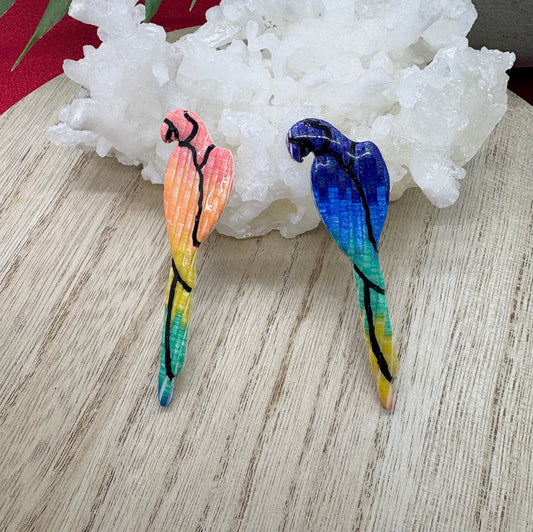 Rainbow Macaws