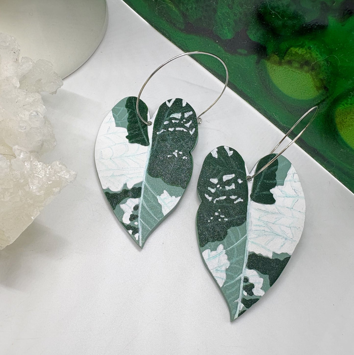 Alocasia Variegated Maharani