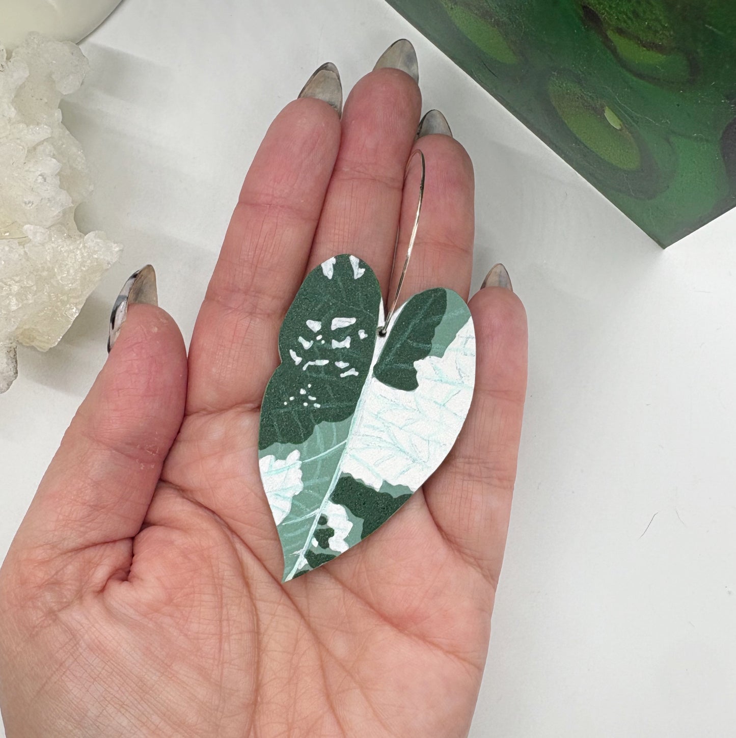 Alocasia Variegated Maharani