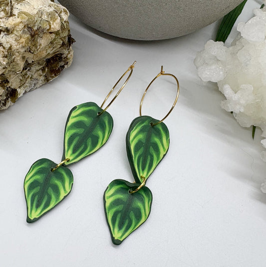 Leafy